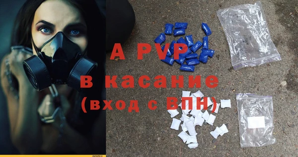 молекула духа Переславль-Залесский