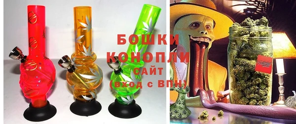 молекула духа Переславль-Залесский