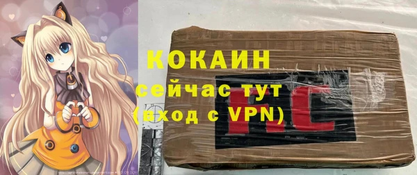 молекула духа Переславль-Залесский
