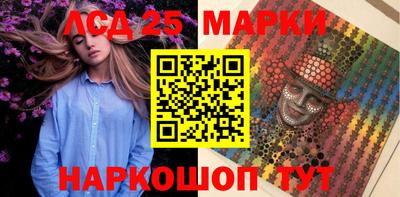 шишки Кандалакша