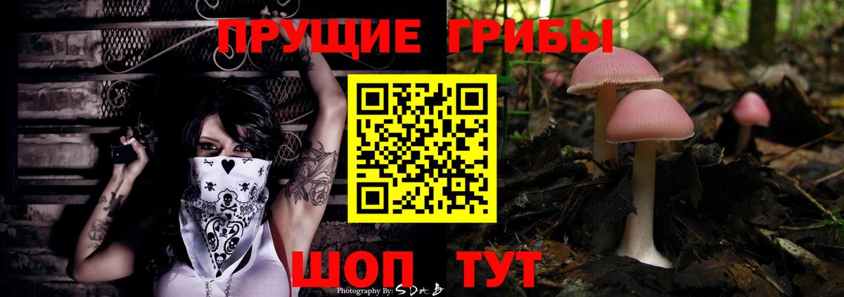 Псилоцибиновые грибы мухоморы Углич